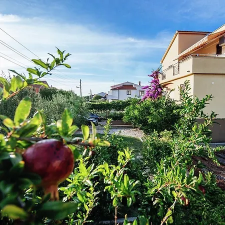 Apartment Lovely In With Balcony
